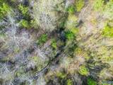 4 acres County Road 346 - Photo 10