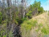 4 acres County Road 346 - Photo 12