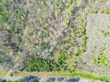 4 acres County Road 346 - Photo 4