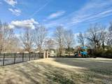 442 Jasmine Drive - Photo 42