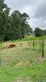 2515 County Road 58 - Photo 10