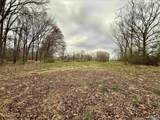 12305 Pulaski Pike - Photo 3