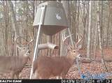 210 Acres County Road 604 - Photo 10