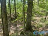 210 Acres County Road 604 - Photo 12