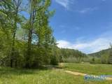 210 Acres County Road 604 - Photo 13
