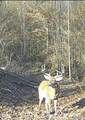 210 Acres County Road 604 - Photo 14