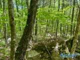 210 Acres County Road 604 - Photo 16