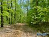 210 Acres County Road 604 - Photo 18