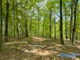 210 Acres County Road 604 - Photo 19