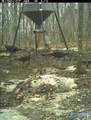 210 Acres County Road 604 - Photo 2