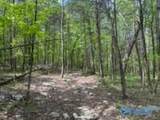 210 Acres County Road 604 - Photo 20