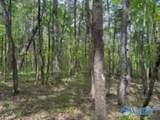 210 Acres County Road 604 - Photo 21