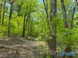 210 Acres County Road 604 - Photo 23