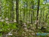 210 Acres County Road 604 - Photo 25