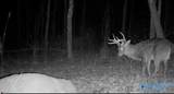 210 Acres County Road 604 - Photo 27