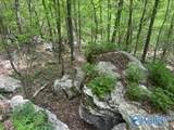 210 Acres County Road 604 - Photo 30