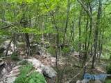 210 Acres County Road 604 - Photo 32