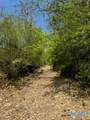 210 Acres County Road 604 - Photo 35