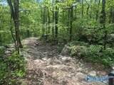 210 Acres County Road 604 - Photo 37