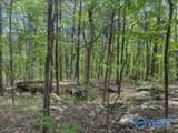 210 Acres County Road 604 - Photo 39