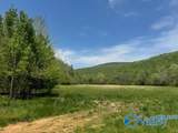 210 Acres County Road 604 - Photo 5