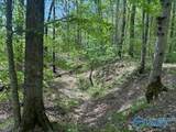210 Acres County Road 604 - Photo 6