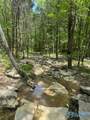 210 Acres County Road 604 - Photo 8