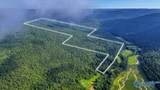 210 Acres County Road 604 - Photo 9