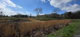 13.51 County Road 107 - Photo 3