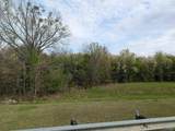 4 acres Hwy 21 - Photo 24