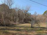 4 acres Hwy 21 - Photo 25