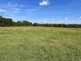 40 Acres County Road 205 - Photo 3
