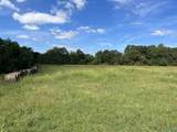 40 Acres County Road 205 - Photo 4