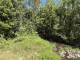 40 Acres County Road 205 - Photo 5