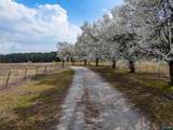 725 County Road 19 - Photo 37