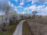 725 County Road 19 - Photo 38