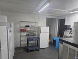 74 Winston Street - Photo 18