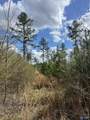 60 Acres Parker Road - Photo 3