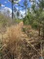 60 Acres Parker Road - Photo 5