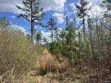 60 Acres Parker Road - Photo 6