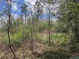 60 Acres Parker Road - Photo 7