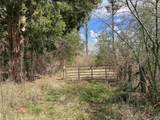 60 Acres Parker Road - Photo 8