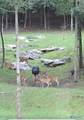 1409 Dug Hill Road - Photo 47