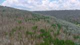 37.2 Acres Highway 68 - Photo 10
