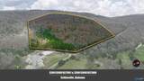 37.2 Acres Highway 68 - Photo 15
