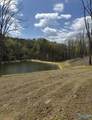 9.85 Appaloosa Drive - Photo 27