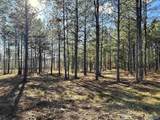 5.61 +/- Acres Hwy 9 - Photo 10