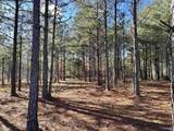 5.61 +/- Acres Hwy 9 - Photo 12