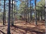 5.61 +/- Acres Hwy 9 - Photo 13