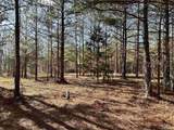 5.61 +/- Acres Hwy 9 - Photo 15
